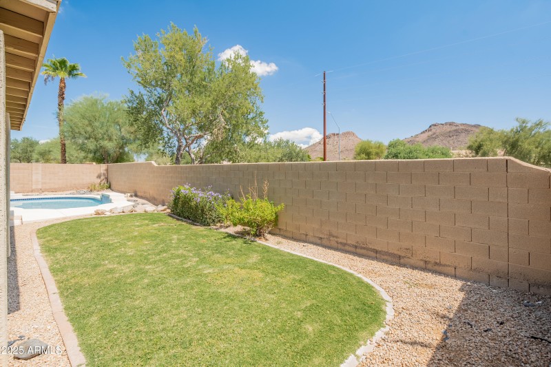 Back yard