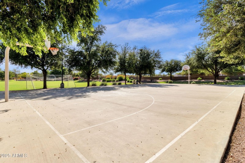 Sport court