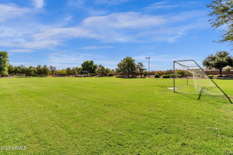 Community fields