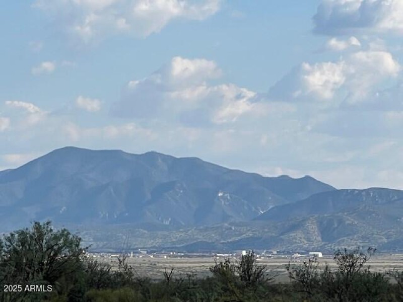IMG_1386 (2)