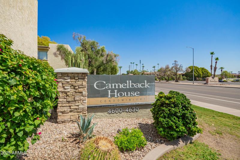 Camelback House