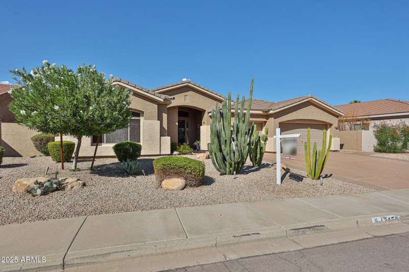 Xeriscape front yard