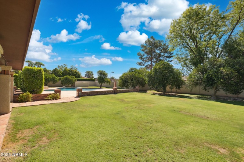 Backyard