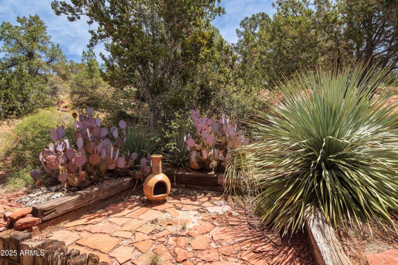 Back Yard - View 4