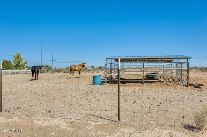 Cow pen and fenced area for horses