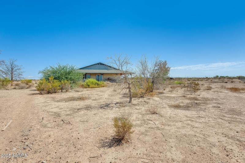 Desert Vegetation and fruit trees