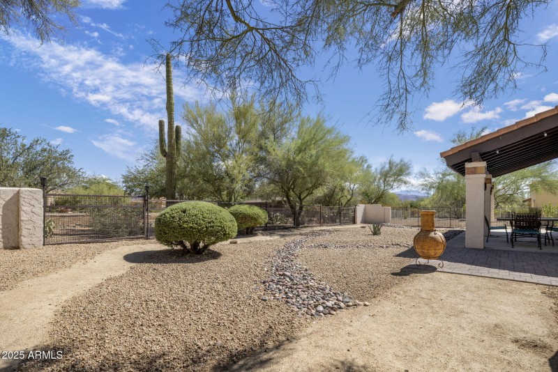 Beautiful Yard