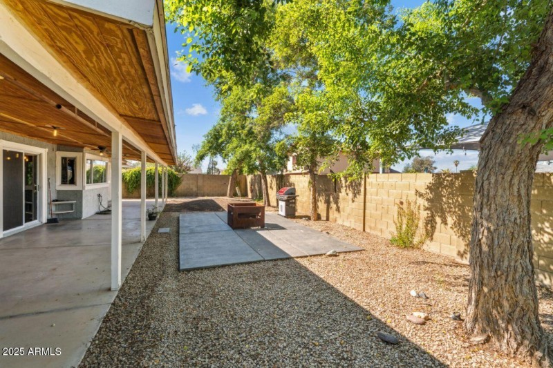 Backyard - View 2
