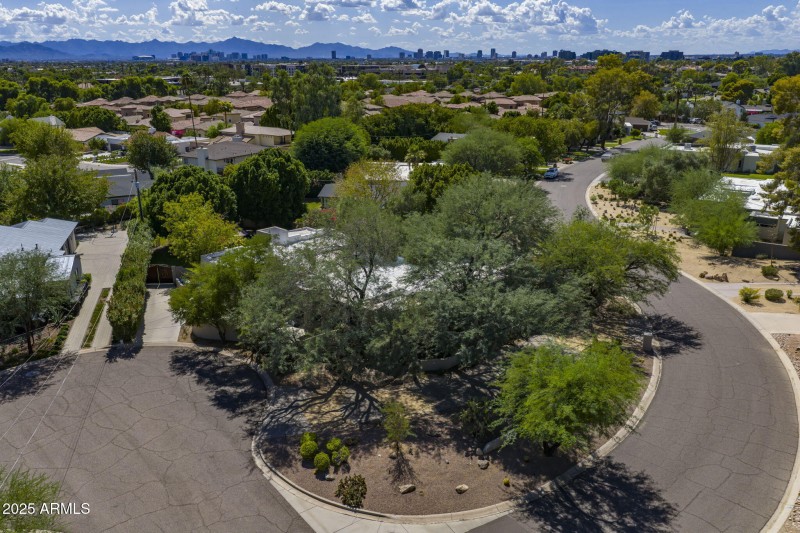 large lot