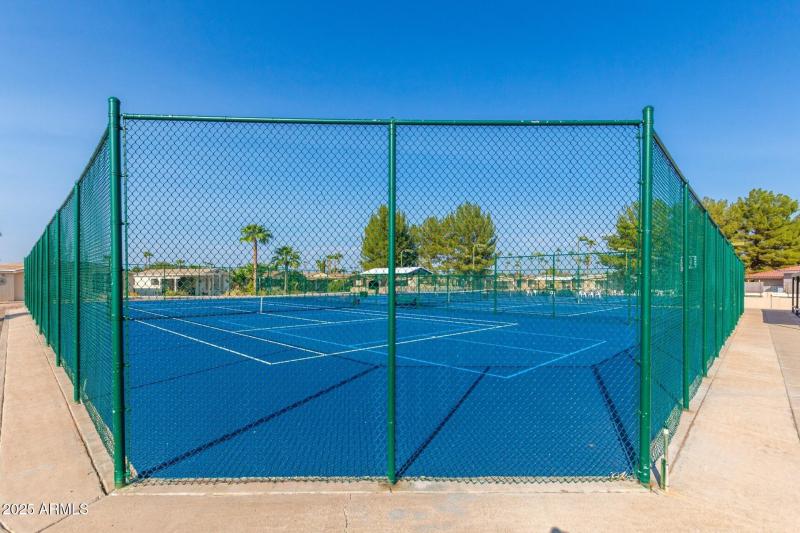Pickleball Court