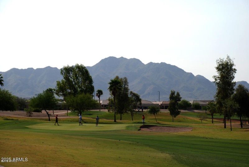 SoleraChandler-Golf Green with Mtn