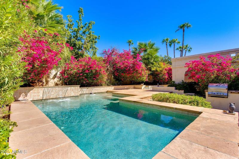 Backyard Oasis