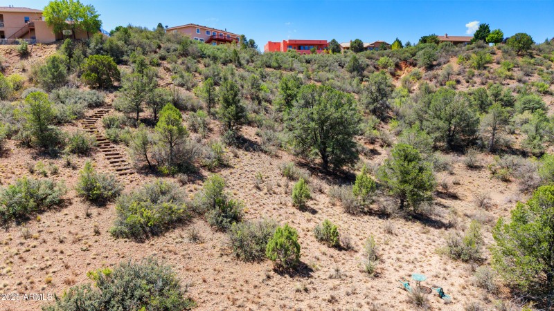 44-Aerial View Backyard Walkway