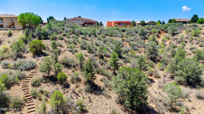 45-Aerial View Backyard