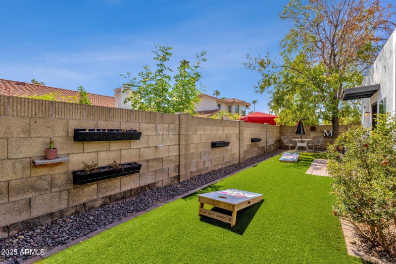Backyard