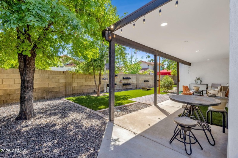 Backyard