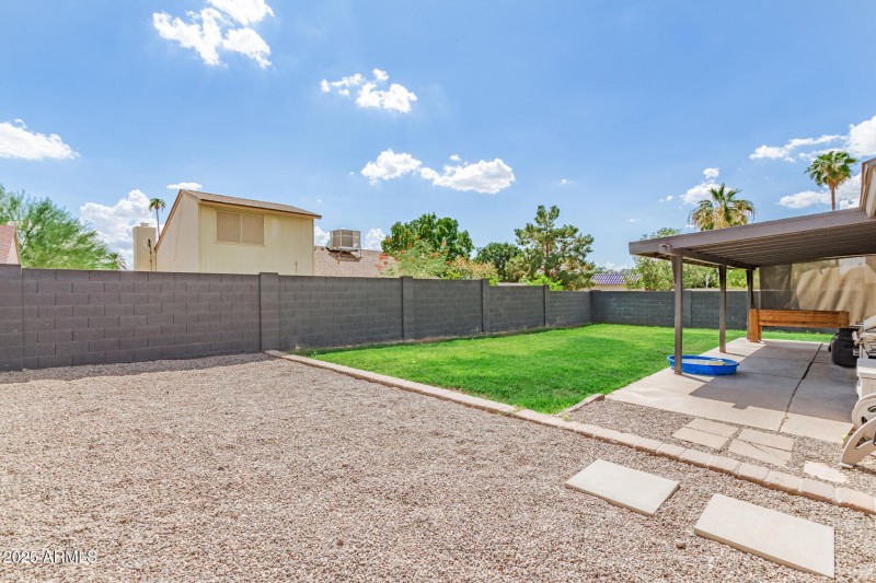 Backyard