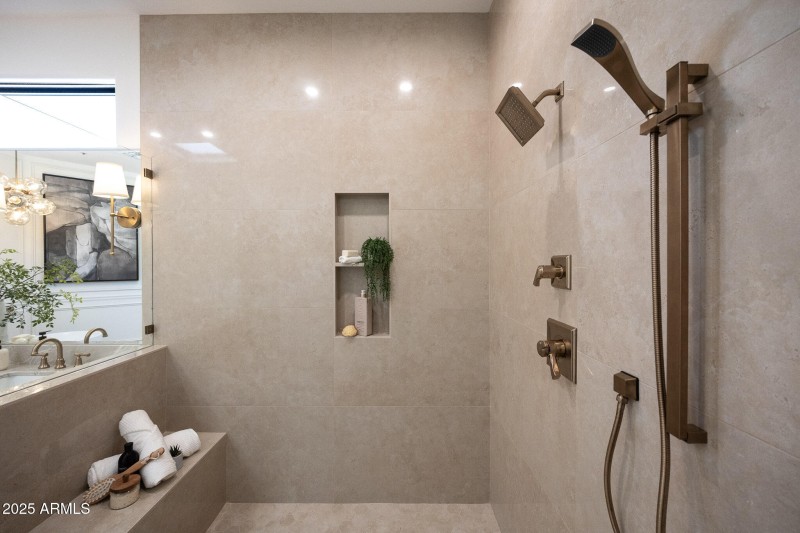 Primary Shower