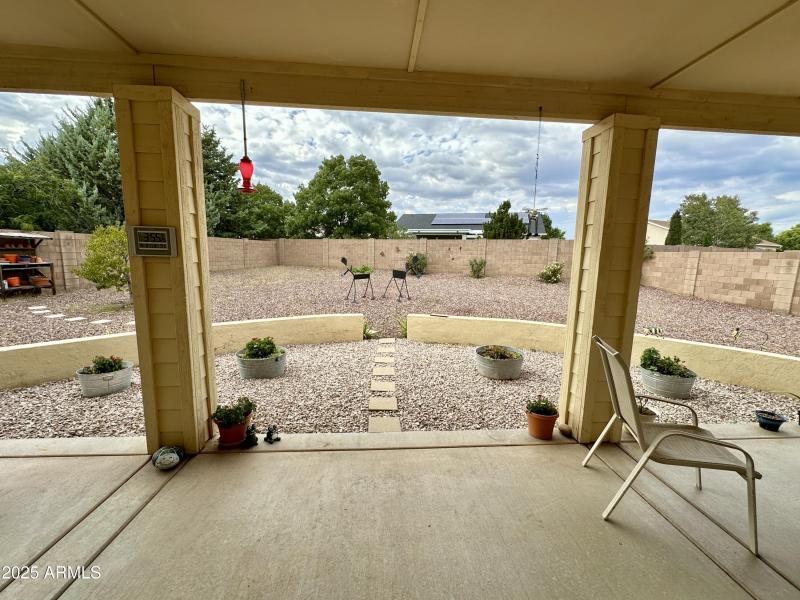 backyard