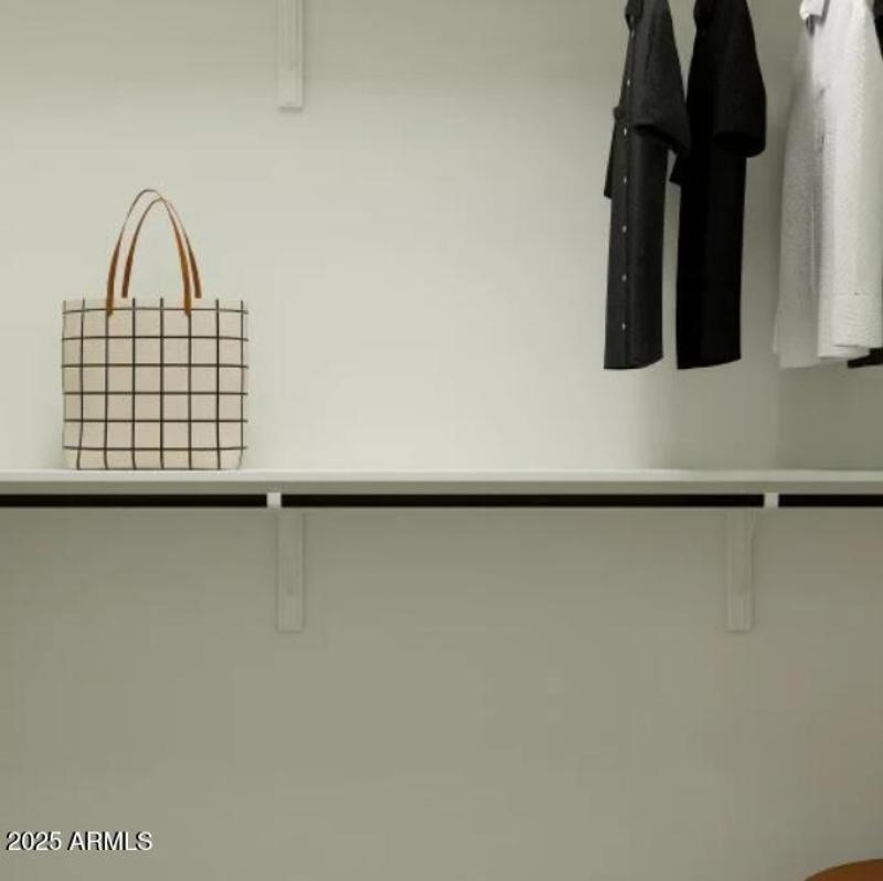 Owners Walk in Closet