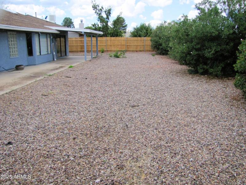 Backyard