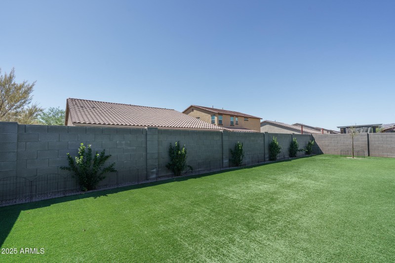 30) BACKYARD