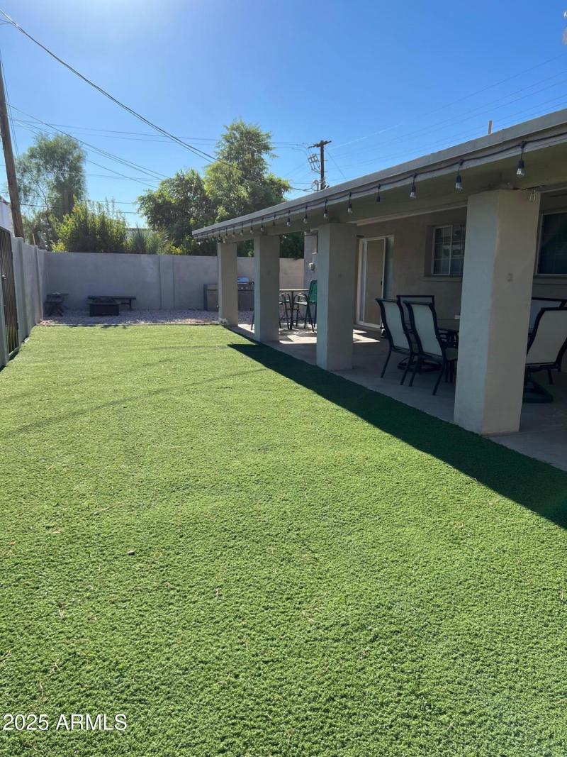Backyard