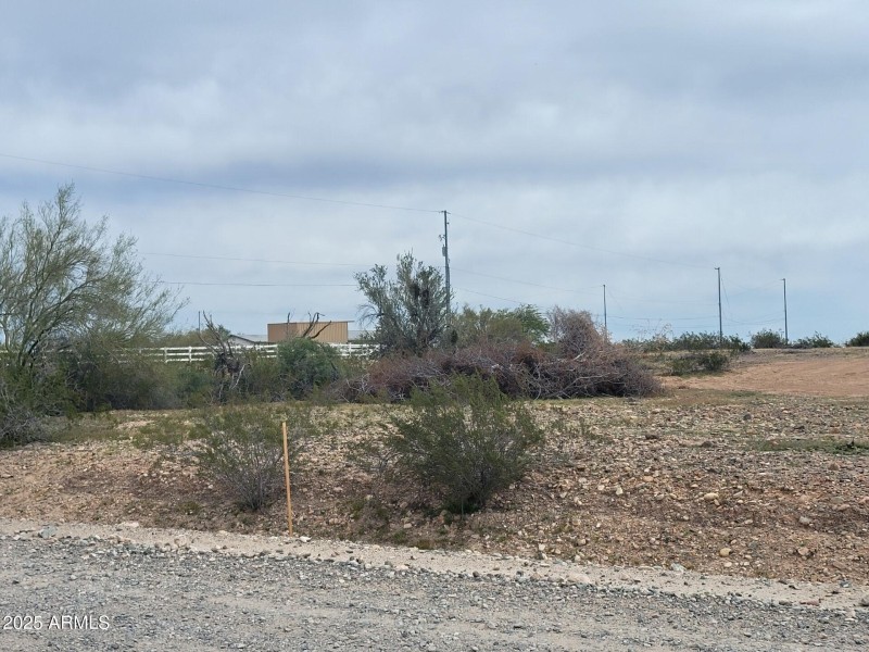 pic 2