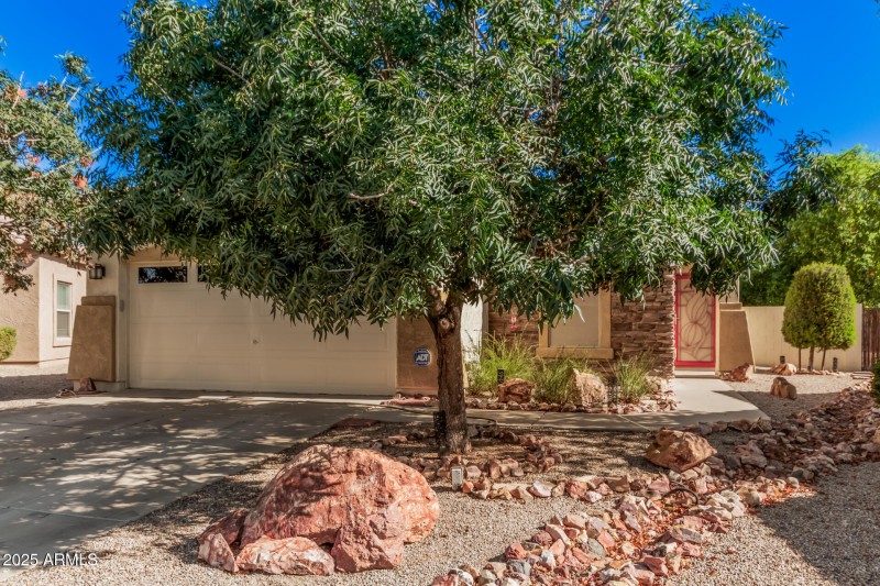 02 Saguaro