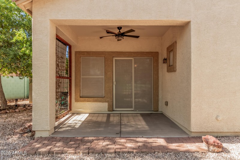 25 Saguaro