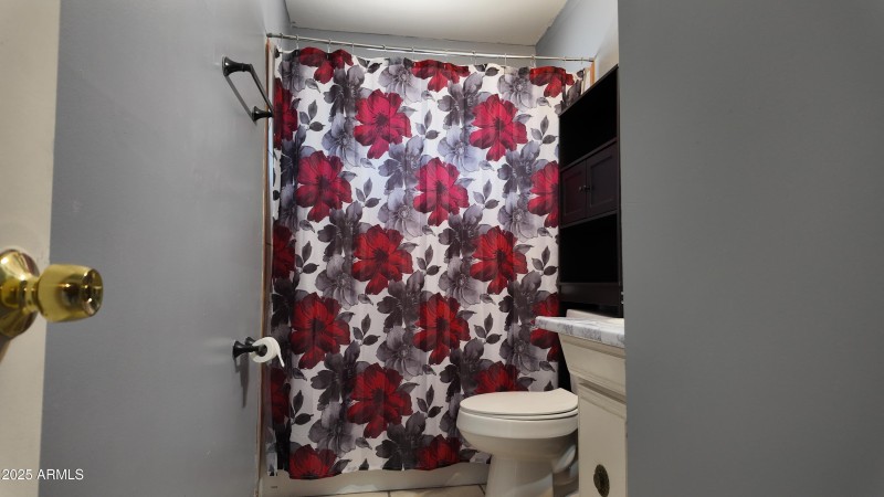 Hall Bathroom
