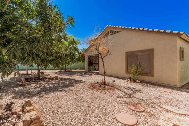27 Saguaro