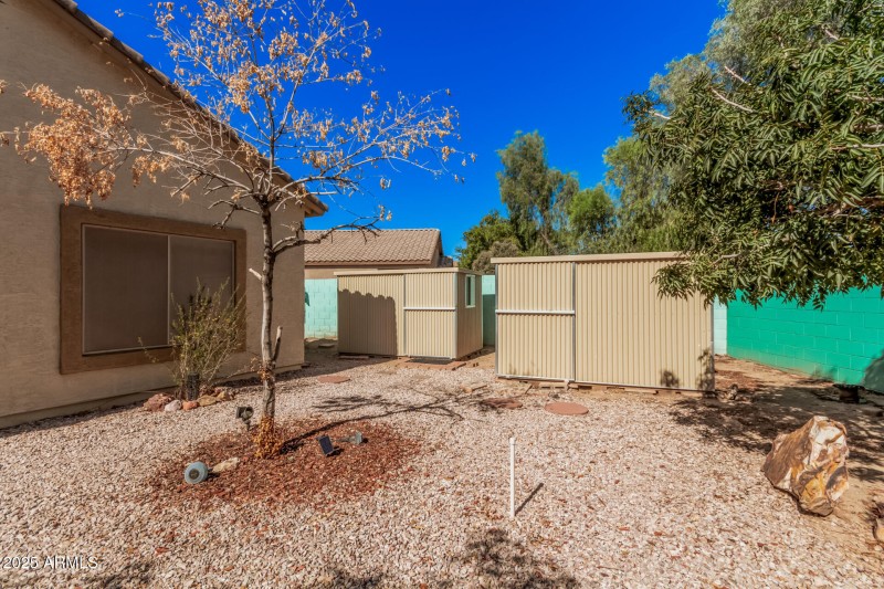28 Saguaro