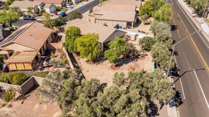 35 Saguaro