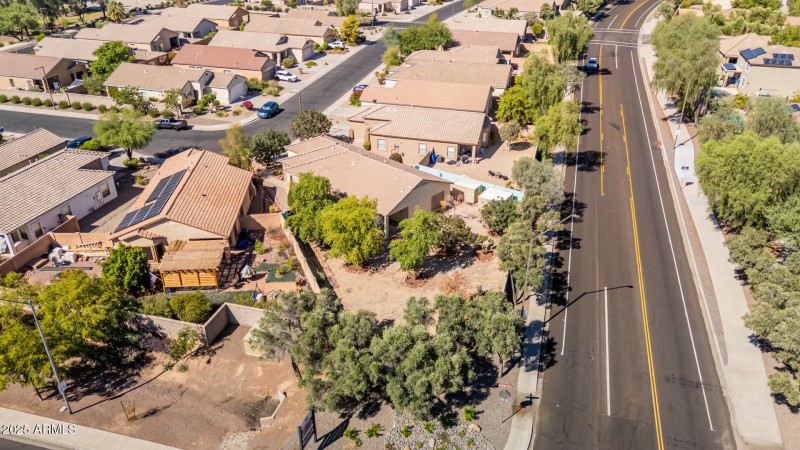 36 Saguaro
