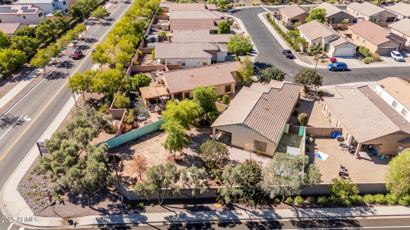 37 Saguaro