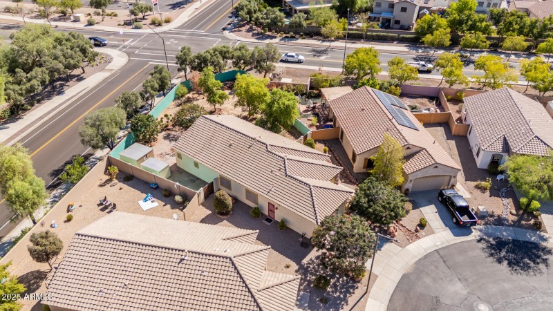 39 Saguaro