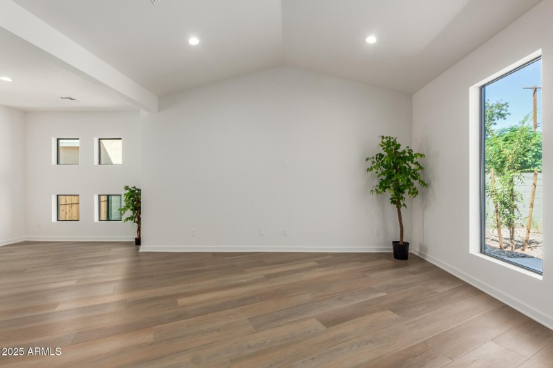 Vaulted Great Room