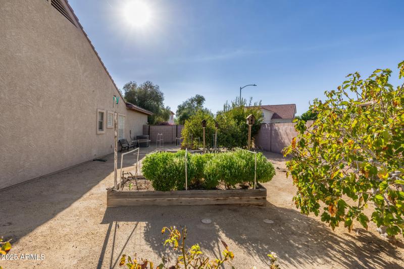 Garden at Sideyard