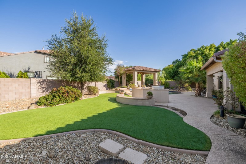 Backyard
