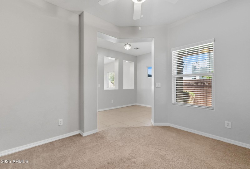 17-web-or-mls-Tulip-17