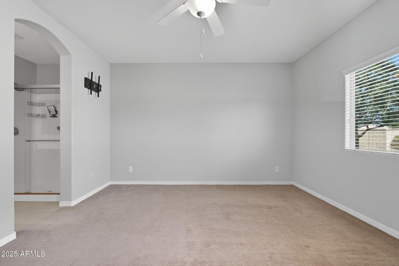 24-web-or-mls-Tulip-24