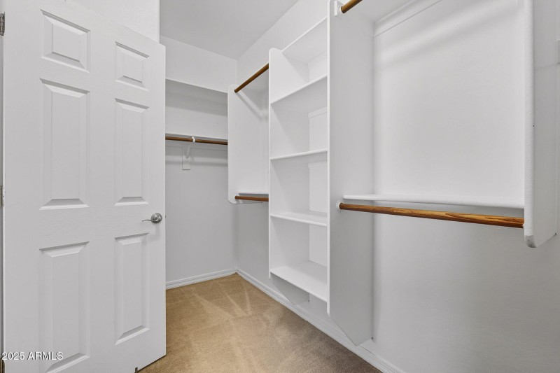 28-web-or-mls-Tulip-28