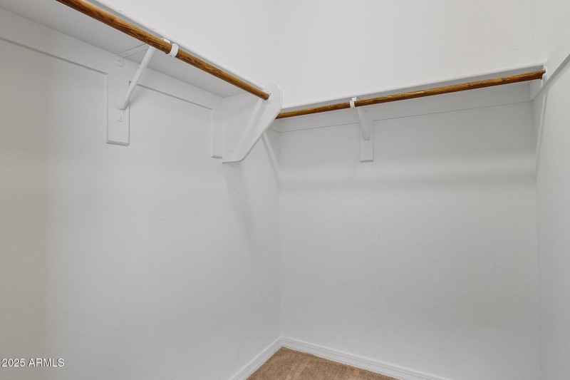 34-web-or-mls-Tulip-34