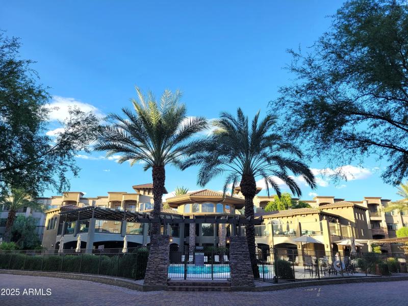 Palazzo pool