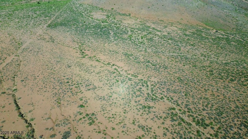 DJI_0890.JPG
