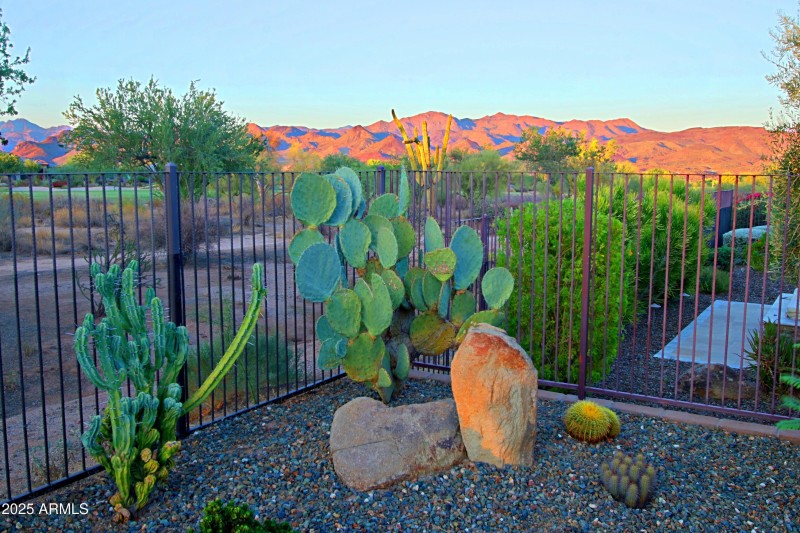 Backyard 9