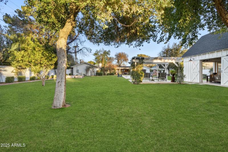 Backyard