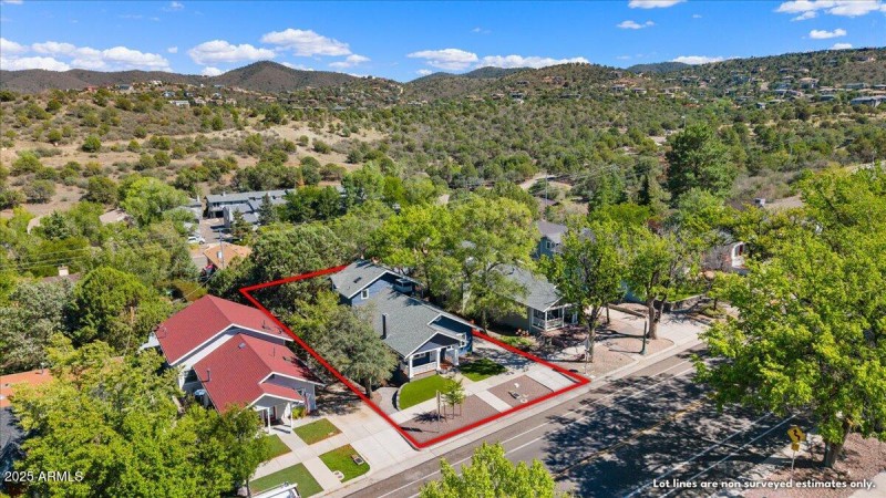 42-Aerial View Property Lines NE