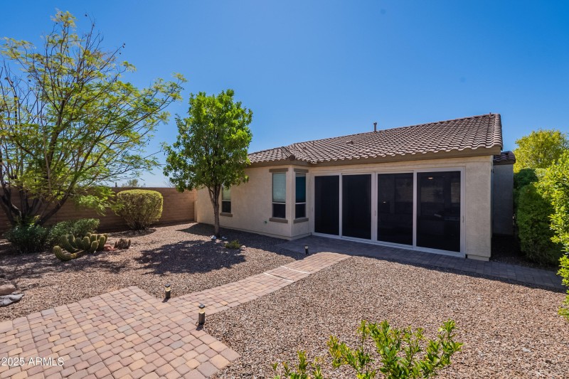 Low maintenance Backyard
